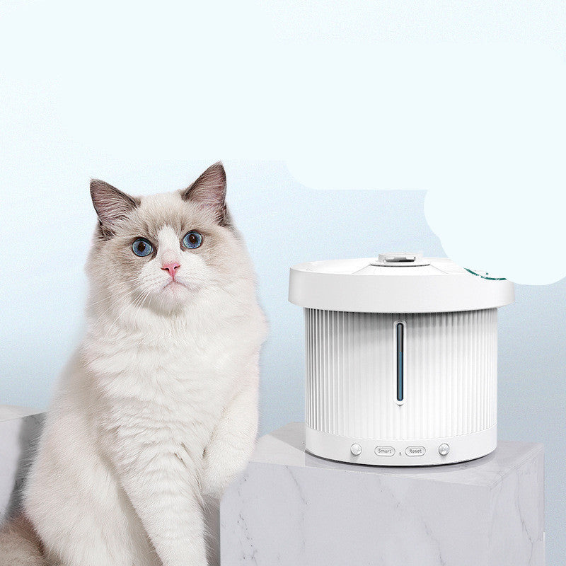 Electric Water Dispenser for Pets | Honeybee77